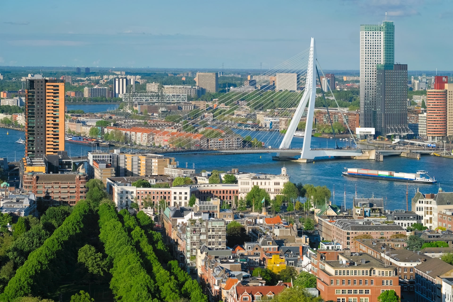 view-of-rotterdam-city-and-the-erasmus-bridge-2026-03-09-08-44-02-utc
